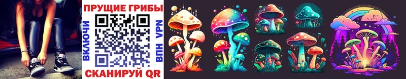 купить наркоту  Новочебоксарск  hydra вход  Галлюциногенные грибы Psilocybe 